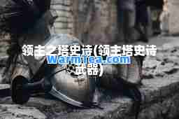 领主之塔史诗(领主塔史诗武器)