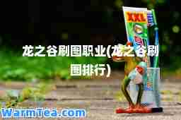 龙之谷刷图职业(龙之谷刷图排行)