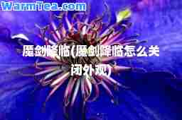 魔剑降临(魔剑降临怎么关闭外观)
