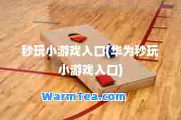 秒玩小游戏入口(华为秒玩小游戏入口)