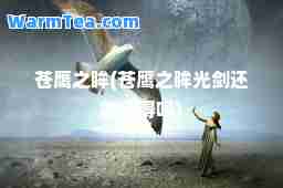 苍鹰之眸(苍鹰之眸光剑还能获得吗)