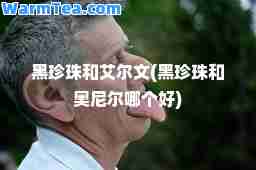 黑珍珠和艾尔文(黑珍珠和奥尼尔哪个好) 黑珍珠和艾尔文(黑珍珠和奥尼尔哪个好)