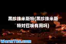 黑珍珠米斯特(黑珍珠米斯特对召唤有用吗)