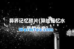 异界记忆碎片(异域记忆水晶怎么拿)