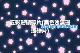 五彩珊瑚碎片(黑色沙漠珊瑚碎片)