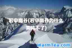 岩中幽谷(岩中幽谷为什么共鸣不了)