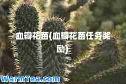 血瓣花苗(血瓣花苗任务奖励)