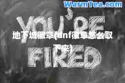 地下城徽章(dnf徽章怎么取下来)