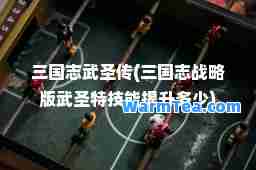 三国志武圣传(三国志战略版武圣特技能多少)