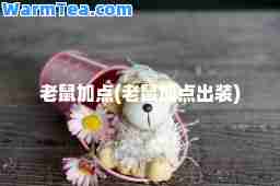 老鼠加点(老鼠加点出装)
