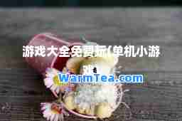 游戏大全免费玩(单机小游戏)