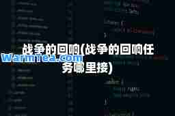 战争的回响(战争的回响任务哪里接)