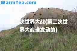 第二次世界大战(第二次世界大战谁发动的)