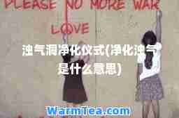 浊气洞净化仪式(净化浊气是什么意思)
