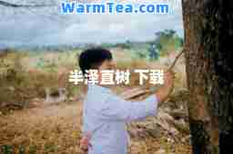 半泽直树 下载