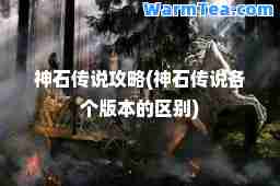 石传说攻略(石传说各个版本的区别)