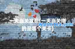 一夫当关攻略(一夫当关指的是哪个关卡)