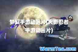梦幻手游动画片(火影忍者手游动画片)