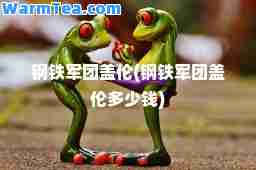 钢铁军团盖伦(钢铁军团盖伦多少钱)