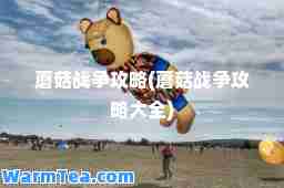 蘑菇战争攻略(蘑菇战争攻略大全)