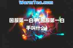 国服白手(国服白手叫什么)