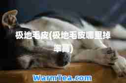 极地毛皮(极地毛皮哪里掉率高)