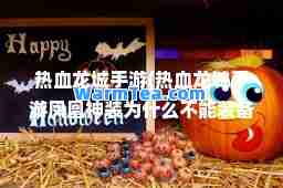 热血龙城手游(热血龙城手游凤凰装为什么不能装备)