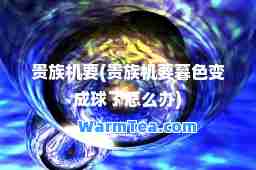 贵族机要(贵族机要暮色变成球了怎么办)