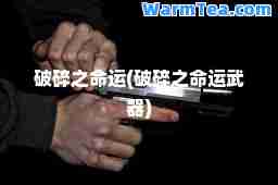 破碎之运(破碎之运武器)