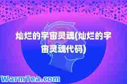 灿烂的宇宙灵魂(灿烂的宇宙灵魂代码)