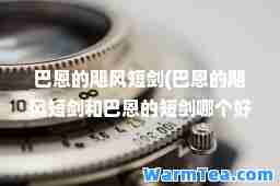 巴恩的飓风短剑(巴恩的飓风短剑和巴恩的短剑哪个好)