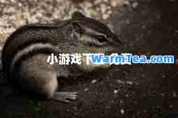 小游戏下载 免费