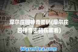 摩尔庄园奇密码(摩尔庄园奇密码在哪看)