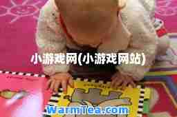 小游戏网(小游戏网站)