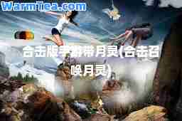 击版手游带月灵(击召唤月灵) 击版手游带月灵(击召唤月灵)