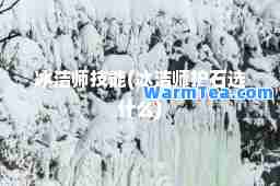 冰洁师技能(冰洁师护石选什么)