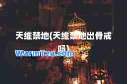 天维禁地(天维禁地出骨戒吗)