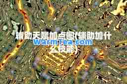 辅助天赋加点图(辅助加什么技能)