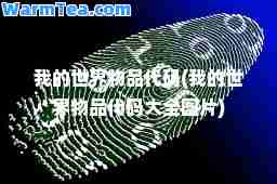 我的世界物品代码(我的世界物品代码大全图片)