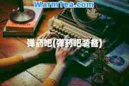 弹药吧(弹药吧装备) 弹药吧(弹药吧装备)