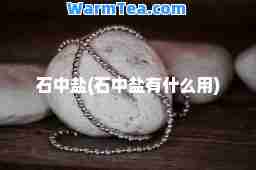 石中盐(石中盐有什么用)