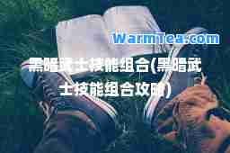 黑暗武士技能组(黑暗武士技能组攻略)