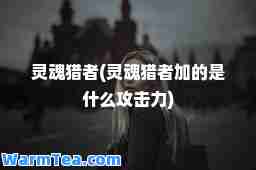 灵魂猎者(灵魂猎者加的是什么攻击力)