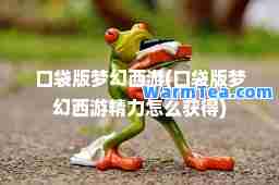 口袋版梦幻西游(口袋版梦幻西游精力怎么获得)