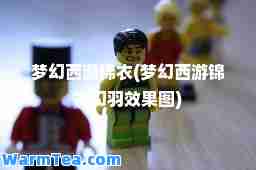 梦幻西游锦衣(梦幻西游锦衣幻羽效果图)