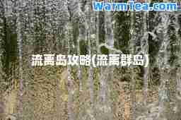 流离岛攻略(流离群岛)