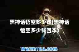 黑话悟空多少钱(黑话悟空多少钱回本)