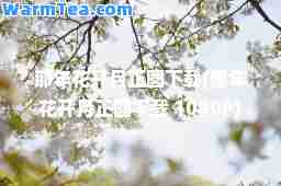 那年花开月正圆下载(那年花开月正圆下载 1080P)