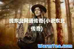 纯东北网通传奇(小说东北传奇)