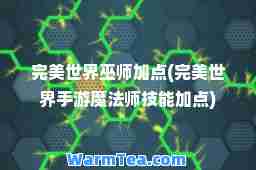 世界巫师加点(世界手游魔法师技能加点)